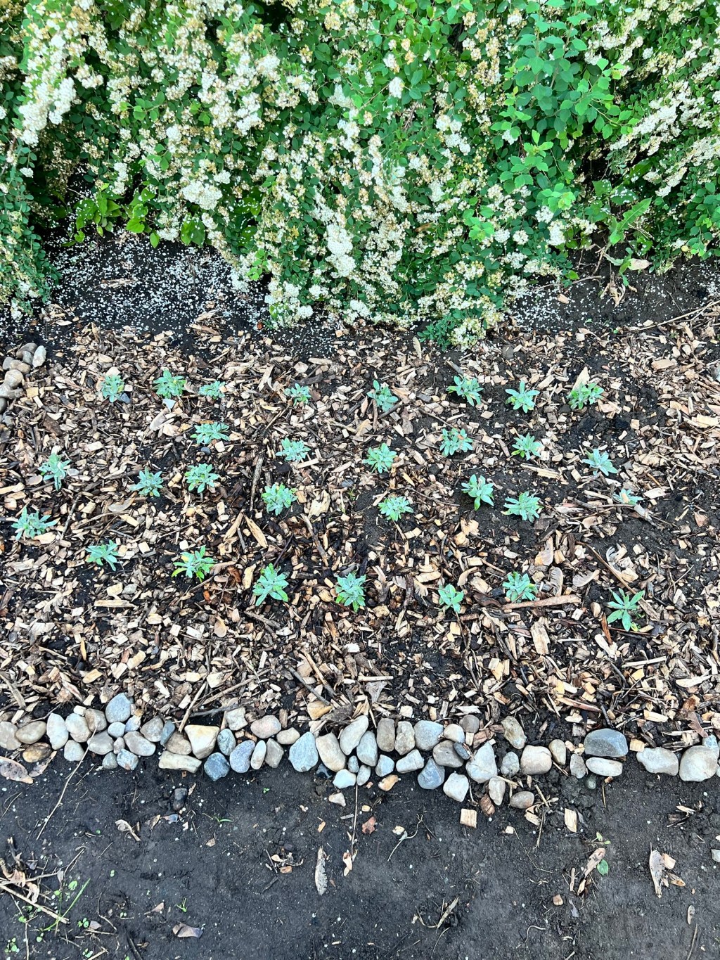 Journal Jardin – Chapitre&nbsp;3
